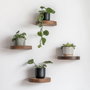 Hanah Home Raf282 Estantería de Pared de Madera Decorativa (4 Piezas)